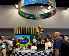 Em Miami, Paraná apresenta seu potencial náutico no maior evento de navios de cruzeiro no mundo