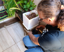 SESA - Paraná conta com auxílio de monitoramento estratégico no combate às arboviroses