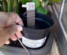 SESA - Paraná conta com auxílio de monitoramento estratégico no combate às arboviroses