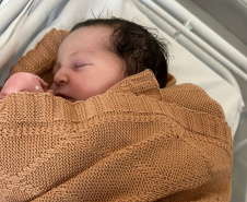 Nasce a pequena Helena: primeira bebê da recém inaugurada Maternidade de Paranaguá simboliza nova era no atendimento