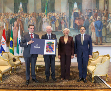 VICE EMBAIXADOR PARAGUAI