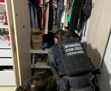 PCPR cumpre 13 mandados contra organização criminosa ligada ao tráfico na RMC