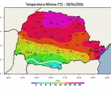 GEADA E TEMPERATURA MAIS BAIXA DO ANO ATÉ O MOMENTO SÃO REGISTRADOS NO PARANÁ