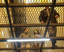 Com operação integrada, Paraná amplia coleta de perfis genéticos em unidades penais