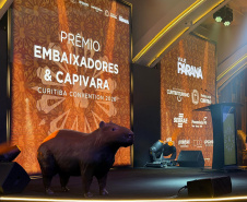 VIAJE PARANÁ - Com apoio do Estado, iniciativas do turismo recebem Prêmios Embaixadores de Curitiba e Capivara