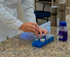 Prime inicia capacitação empreendedora para pesquisadores