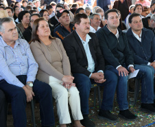 PINHÃO DEMAIS ANÚNCIOS