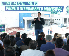 PINHÃO DEMAIS ANÚNCIOS