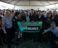 PINHÃO DEMAIS ANÚNCIOS
