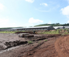 SÃO JOSÉ DAS PALMEIRAS - UNIDADE COOPERATIVA LAR