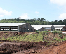 SÃO JOSÉ DAS PALMEIRAS - UNIDADE COOPERATIVA LAR