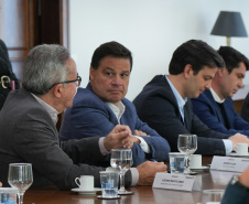 Ricardo Zanoncini
