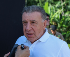 PONTE COLETIVA