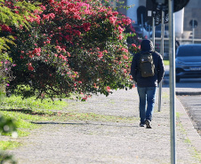 FRIO