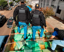 PCPR apreende mais de 2,3 toneladas de maconha durante abordagem em Palmas