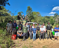 IAT - Soltura anta