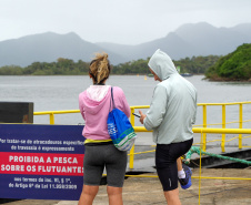 FIM FERRYBOAT