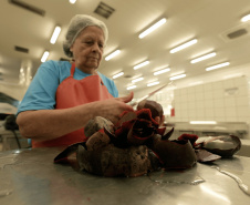 Cascas de beterraba viram corante natural para balinhas de gelatina