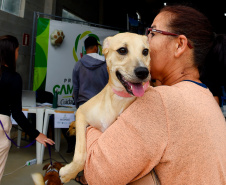 Atendimentos do Vet-Móvel Paraná começam na segunda-feira (1º); veja como se inscrever