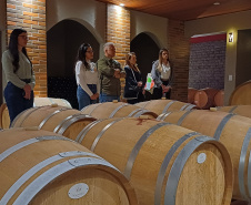 Vinícola paranaense conquista ouro internacional e promove o Enoturismo do Estado