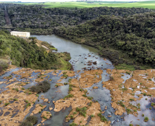 liberação ambiental de Pacueras no Paraná.