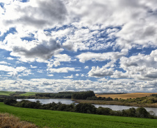 liberação ambiental de Pacueras no Paraná.