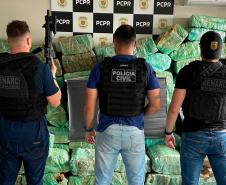 PCPR apreende mais de 2,3 toneladas de maconha durante abordagem em Palmas