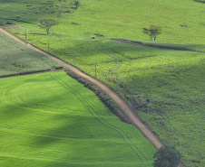 SÃO JOSÉ DAS PALMEIRAS - ESTRADA RURAIS