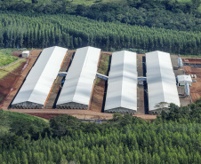 SÃO JOSÉ DAS PALMEIRAS - UNIDADE COOPERATIVA LAR