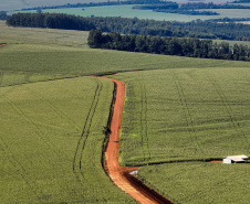 OURO VERDE DO OESTE