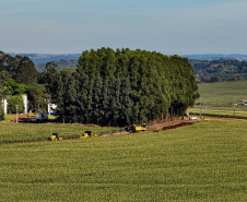 OURO VERDE DO OESTE