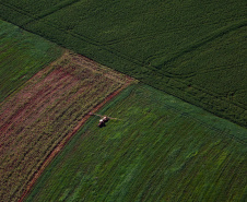 BRDE - Webinar orienta empresas sobre como participar do programa Nexus de inovação no agro