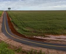 FRANCISCO ALVES - ESTRADA RURAL BARRO PRETO
