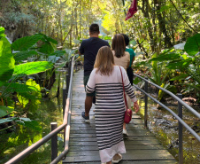 Agentes de viagem de todo o Brasil estão conhecendo o turismo do Paraná presencialmente