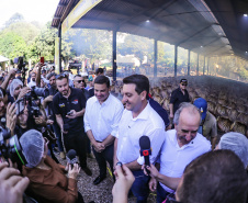 CASCAVEL GOVERNADOR