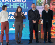 VICE GOVERNADOR SANEPAR