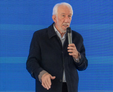 VICE GOVERNADOR SANEPAR