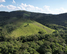 O Paraná vai ganhar nos próximos meses cinco novas unidades de Conservação: Monos de Castro, Monos de Cerro Azul, Maciel, Tia Chica e Núcleo Cercado.