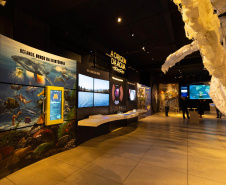 SANEPAR - Museu da Sanepar abre inscrição de oficina para crianças