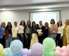 SEDEF - Governo do Estado entrega 316 kits do Programa Nascer Bem Paraná no Norte do Estado
