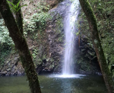 Núcleo Cercado, em Palmeira, nos Campos Gerais.