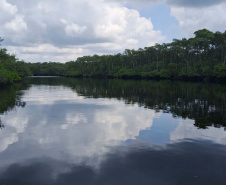 Maciel, em Pontal do Paraná, no Litoral.