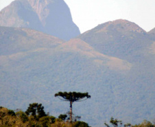 IAT - Campos de Altitude Pico Paraná