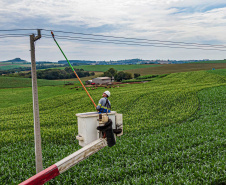 Copel agro completa um mês com 25 mil atendimentos e 95,4% de satisfação dos clientes