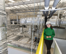 Giselle Nocera, gerente do Centro de Pesquisa e Produção de Insumos para Diagnósticos Veterinários