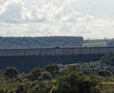liberação ambiental de Pacueras no Paraná.