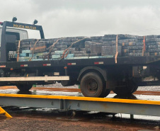PMPR apreende mais de 5 toneladas de maconha e fuzil em Planaltina do Paraná
