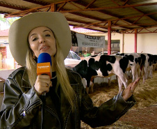 TV Paraná Turismo exibe edição especial do AgroTur nesta terça-feira (12) direto da ExpoIngá