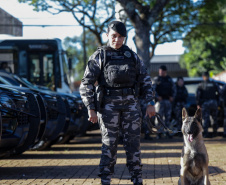 Operação Sinergia leva reforço operacional e ações estratégicas de segurança para Sarandi e região
