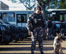 Operação Sinergia leva reforço operacional e ações estratégicas de segurança para Sarandi e região